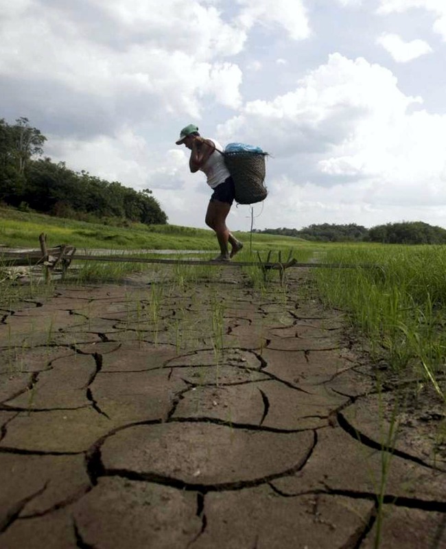 cambio climatico en américa latina