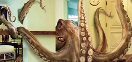 nodal cultura pulpo