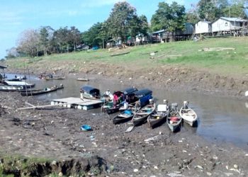 Sequia amazonas brasil