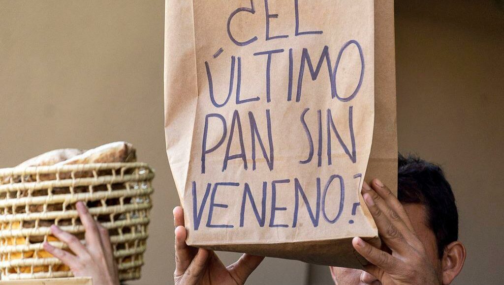 trigo-hb4-argentina_derechos_pan_sin_veneno03