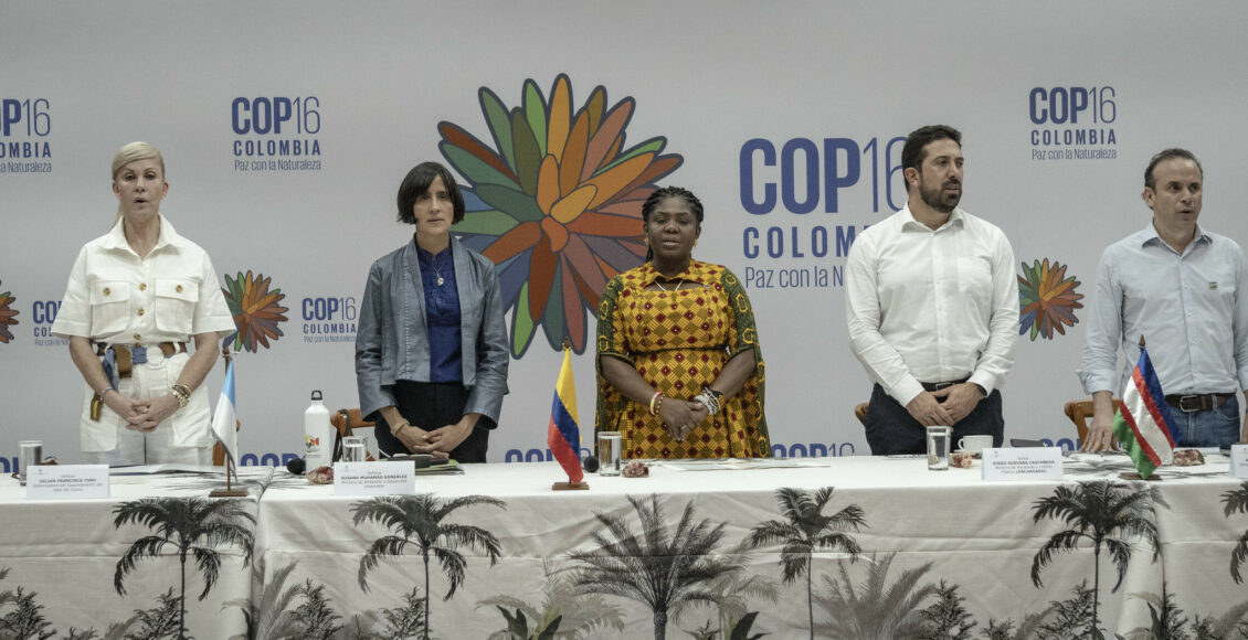 COP16-1
